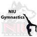 NIU Gymnastics Vs. Ball State